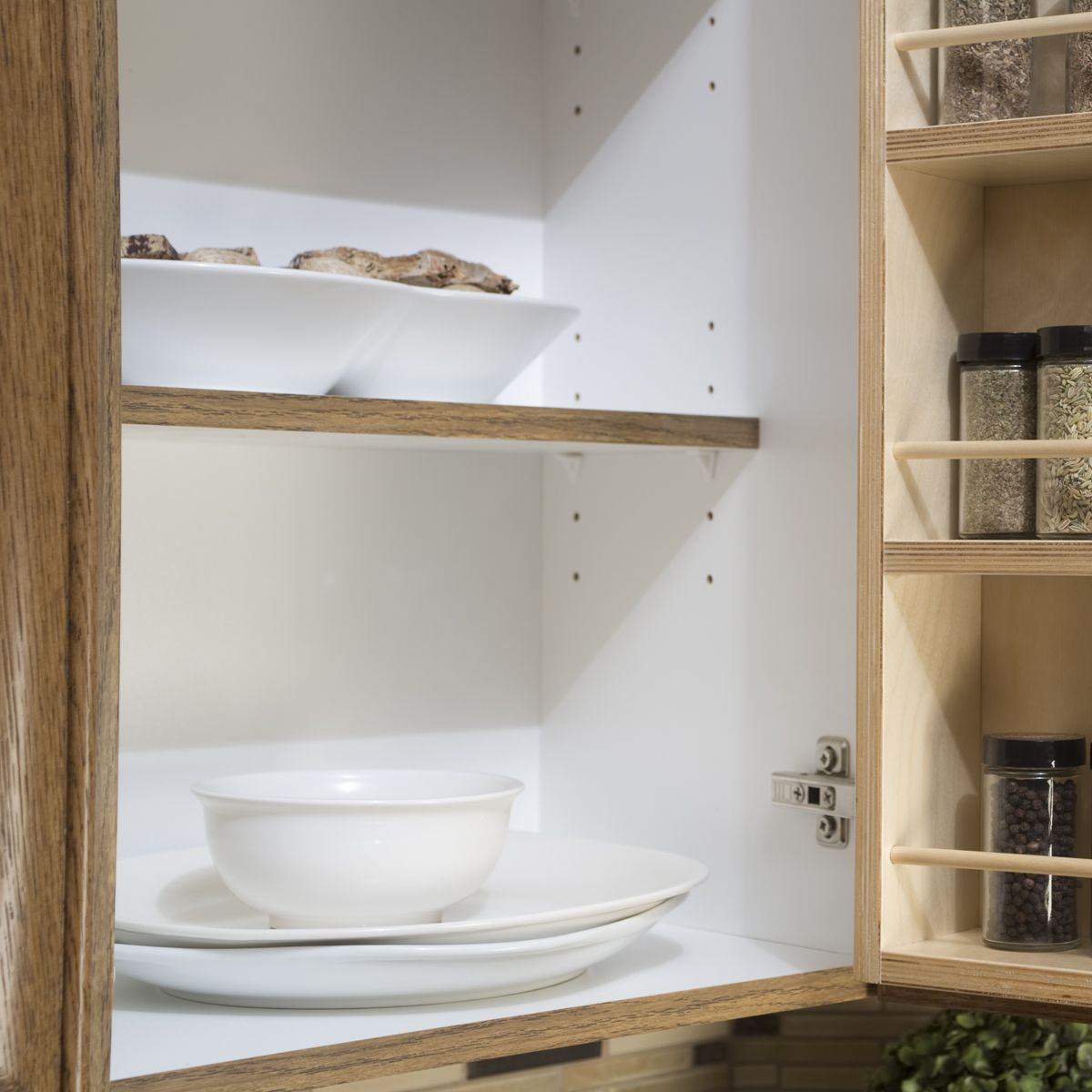 Featured image for “Cabinet Interior Options”